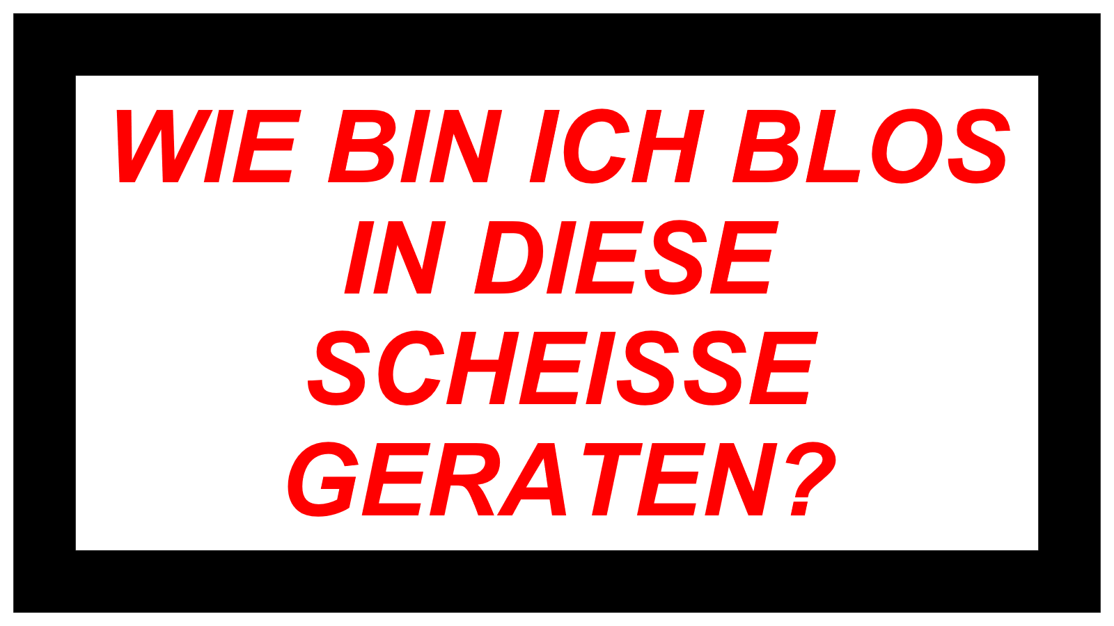 WIE BIN ICH BLOS IN DIESE SCHEISSE GERATEN?